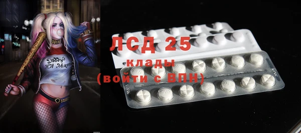 твердый Володарск