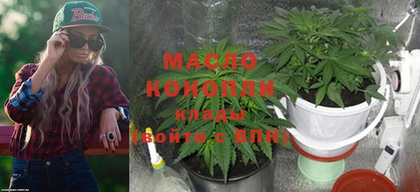 твердый Володарск