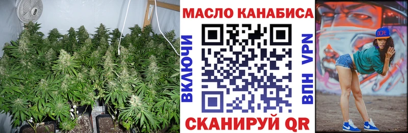как найти   Новороссийск  ТГК концентрат 